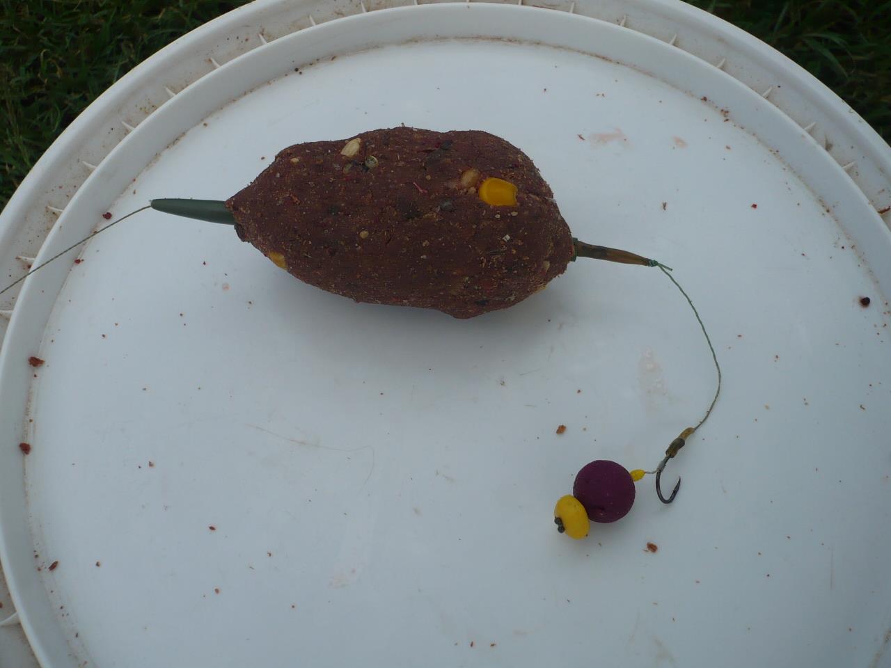 MV2 - 06.IUN.2014 - p1020440.JPG